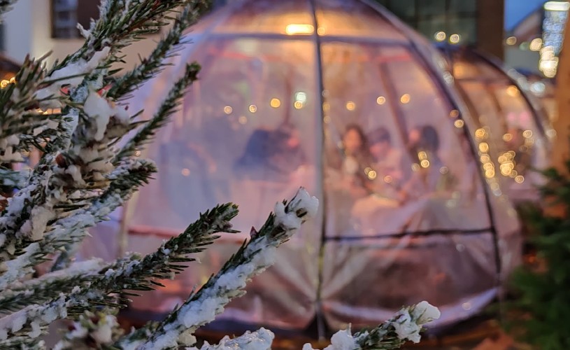 Snow covered branches of Christmas tree in front of pop-up igloo